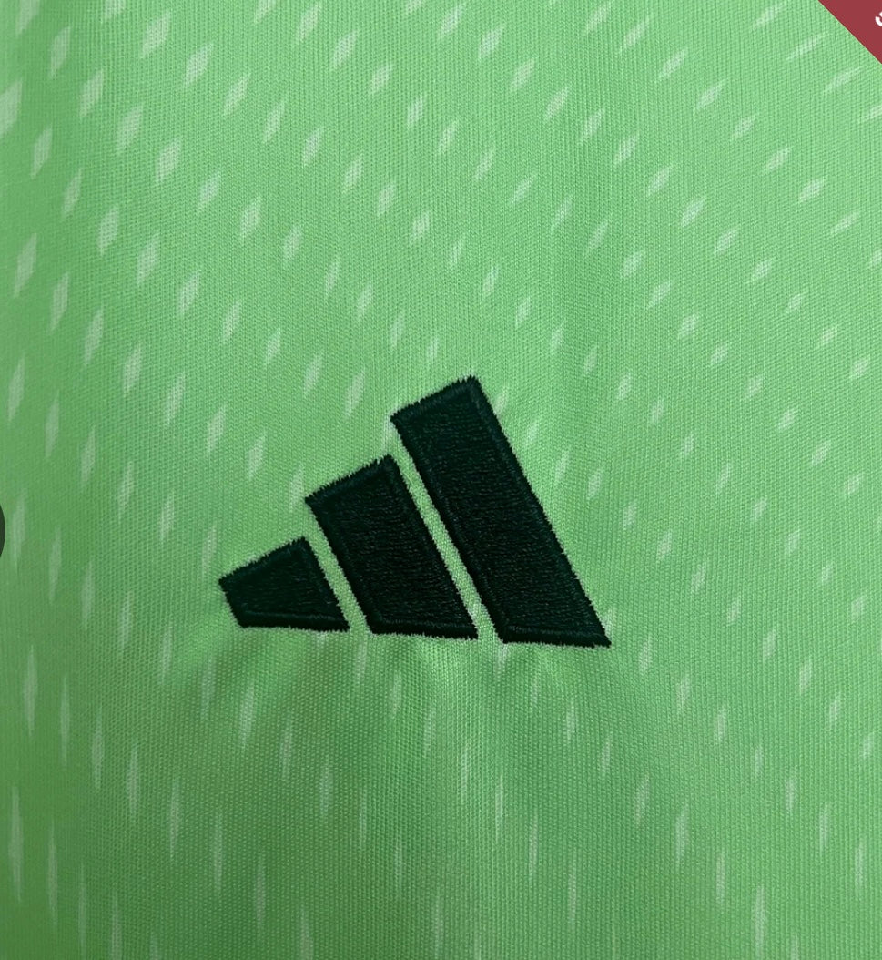 2025/2026 Bayern Munich Goalkeeper Green Football Jersey 1:1