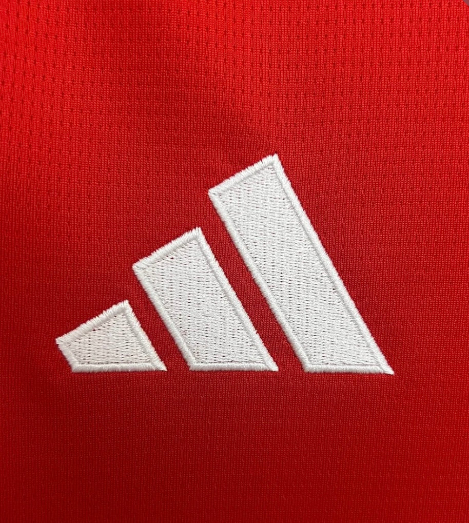 2025/2026 Benfica Home Football Shirt 1:1